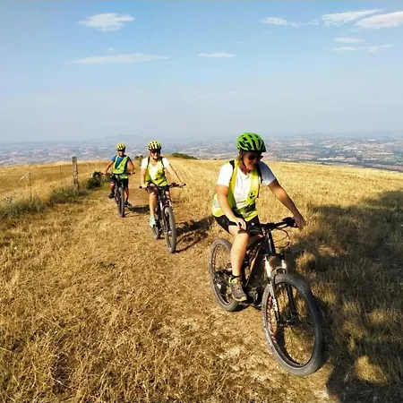 Villa Manor In Marche With Pool And Adriatic Views Monsano