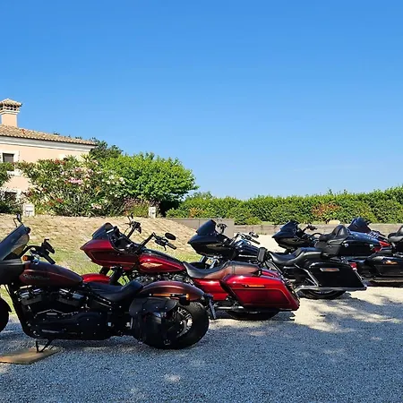 Villa Manor In Marche With Pool And Adriatic Views Monsano